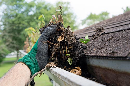 Gutter Care, Maintenance, and Cleaning Tips